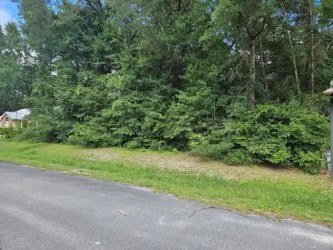 Wewahitchka Residential Land Opportunity