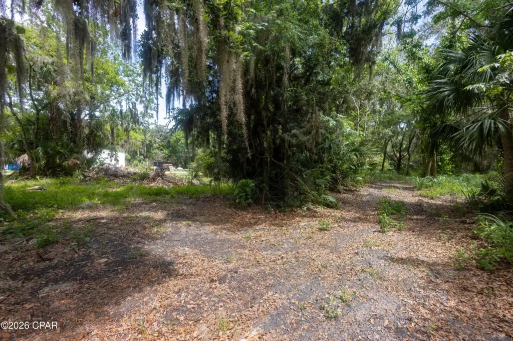 Picture 3