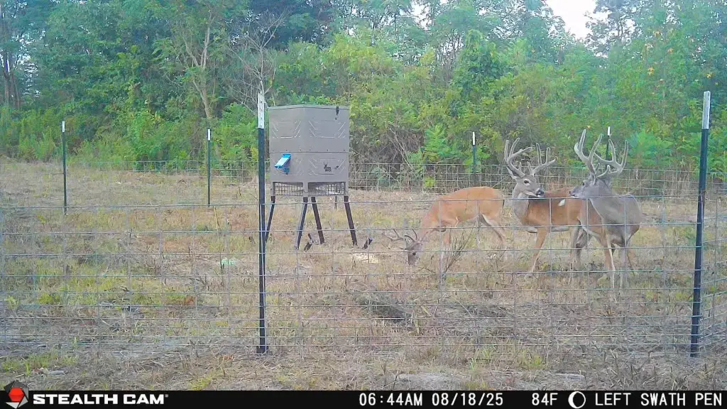 Picture 14