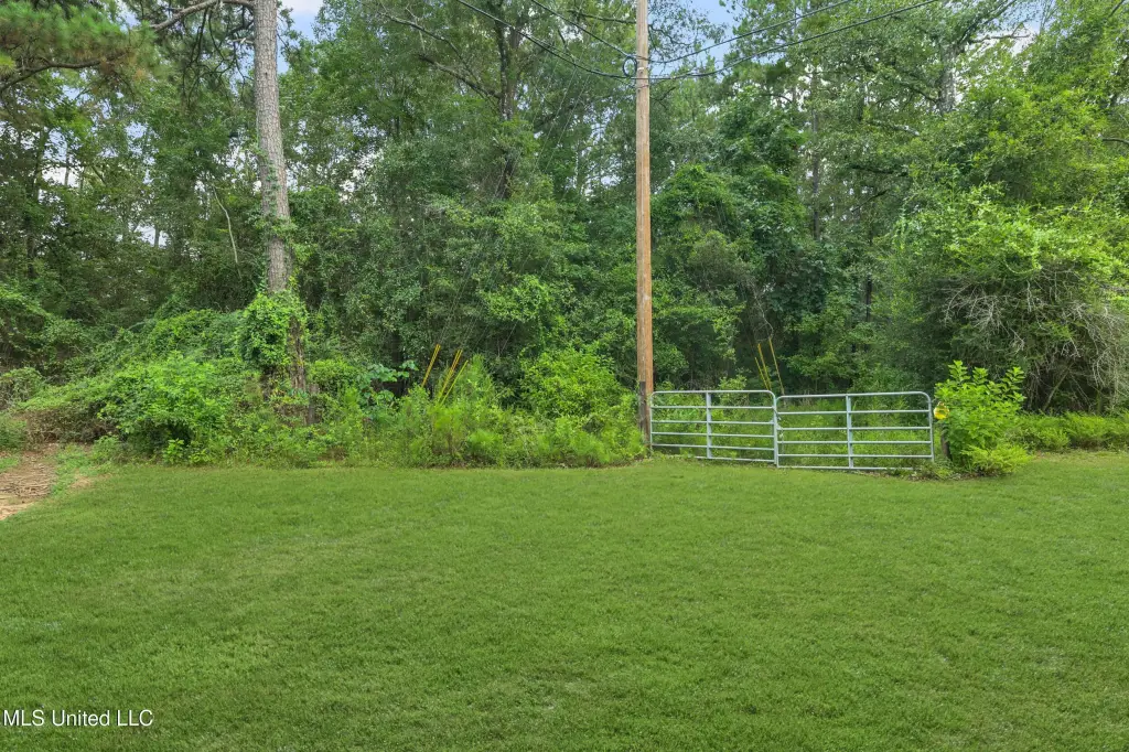 Picture 10