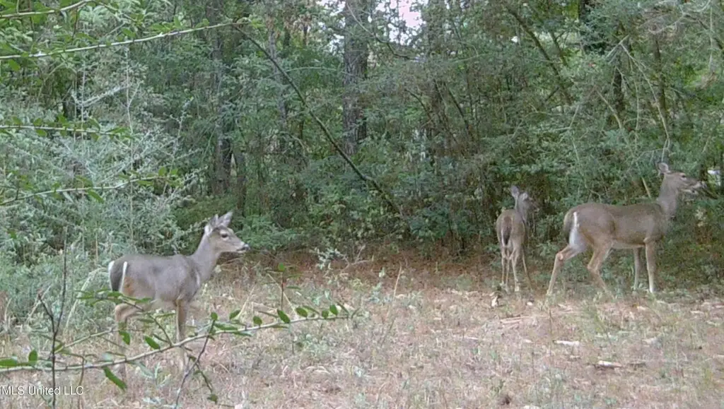Picture 13