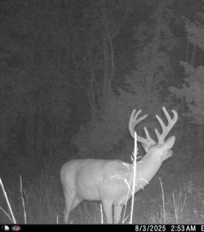 Picture 53
