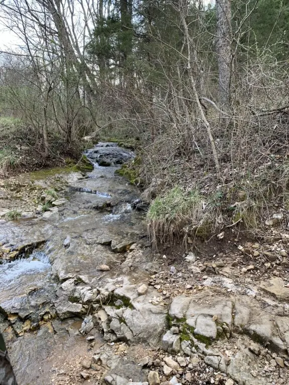 Picture 40