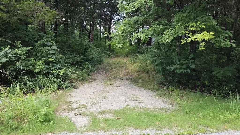 Picture 2
