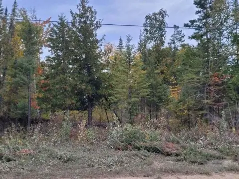 30 Acres of Commercial Land