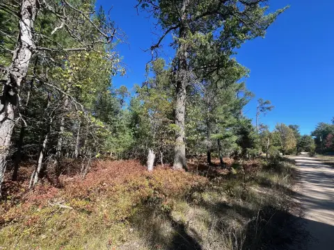 Land in Welcoming Grayling Neighborhood