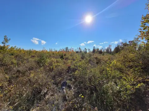 Large Vacant Land in Rogers