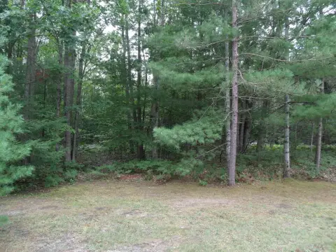 Cheboygan Land Parcel For Sale