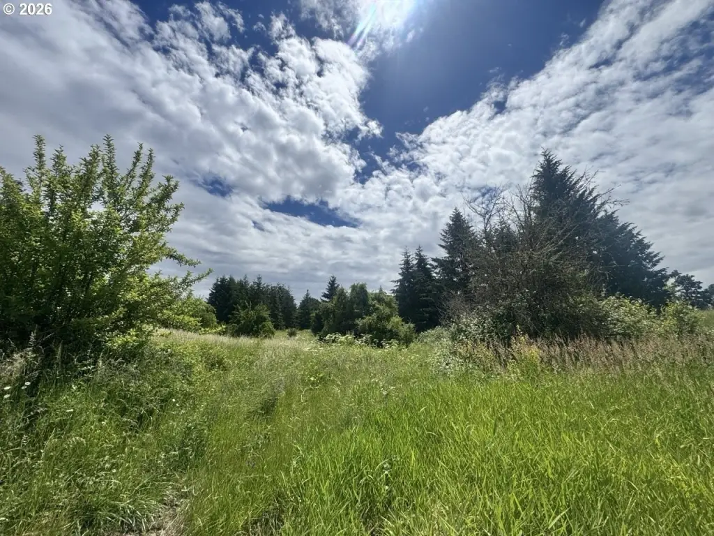 Picture 16