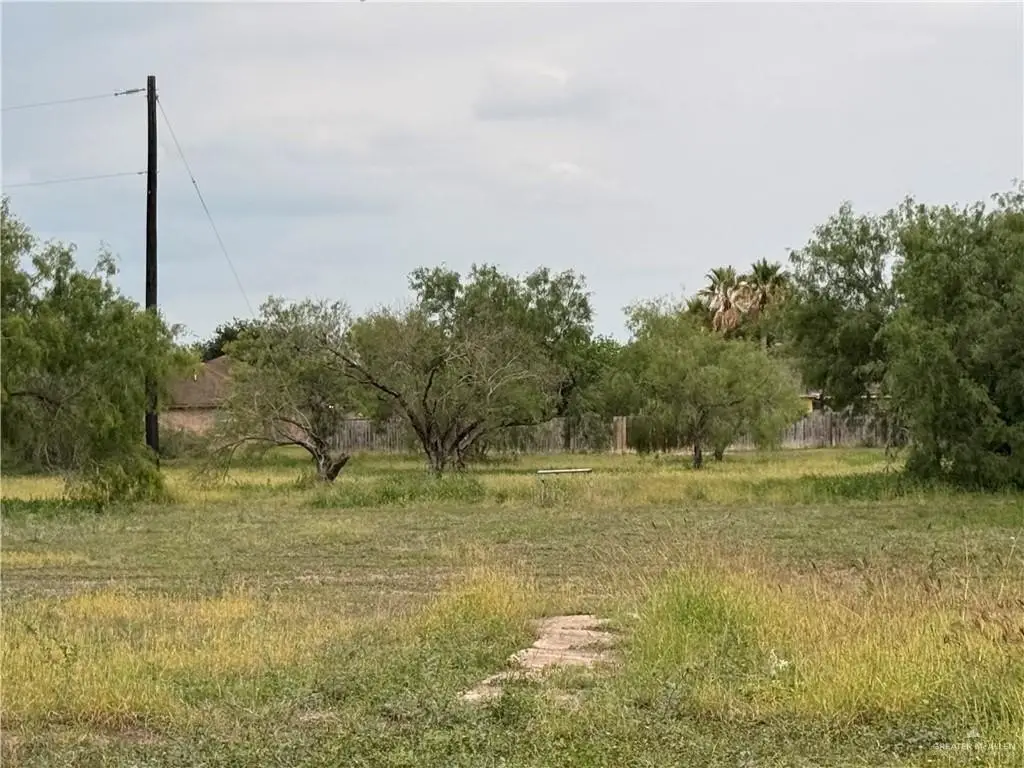 Picture 8