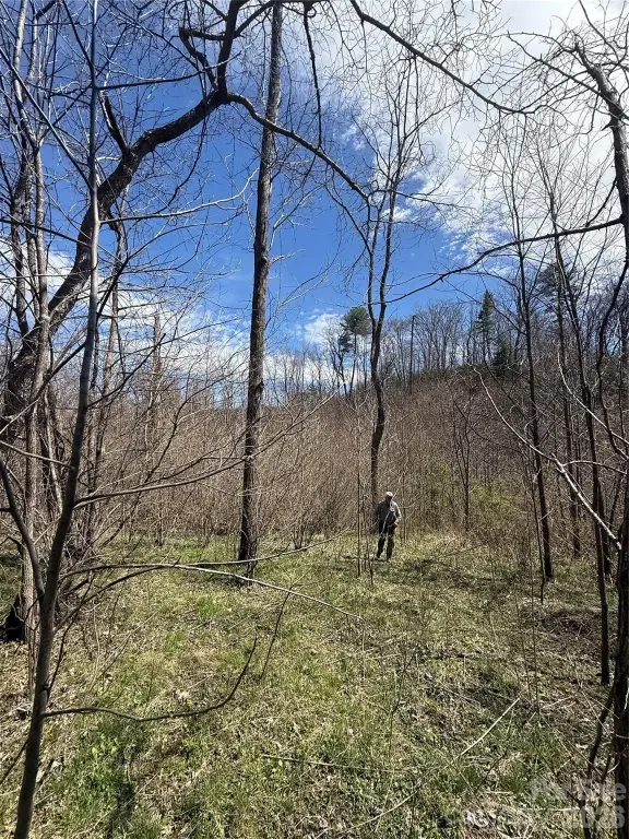 Picture 15
