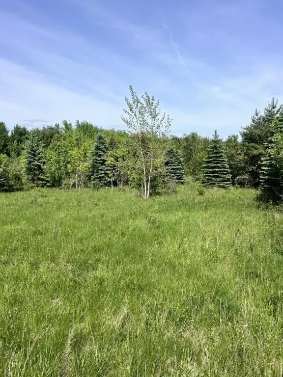 Picture 39