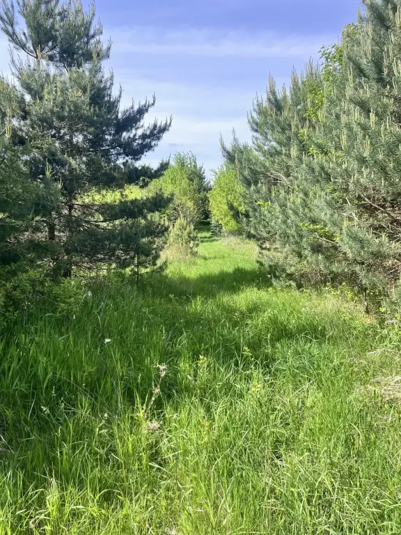 Picture 37