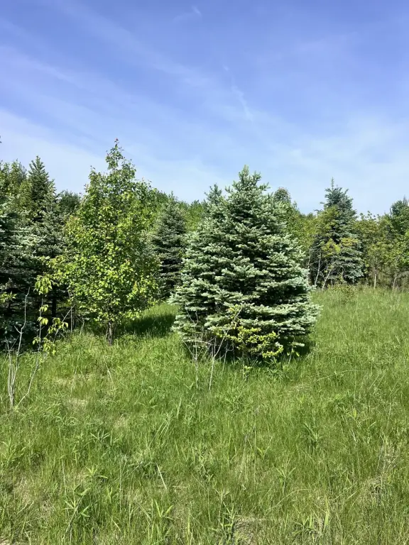 Picture 41