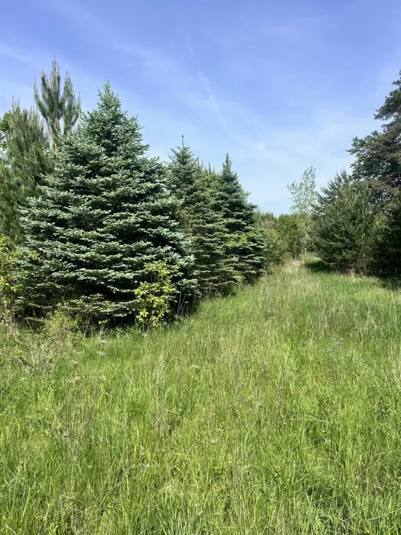 Picture 38