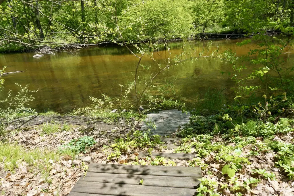 Picture 36