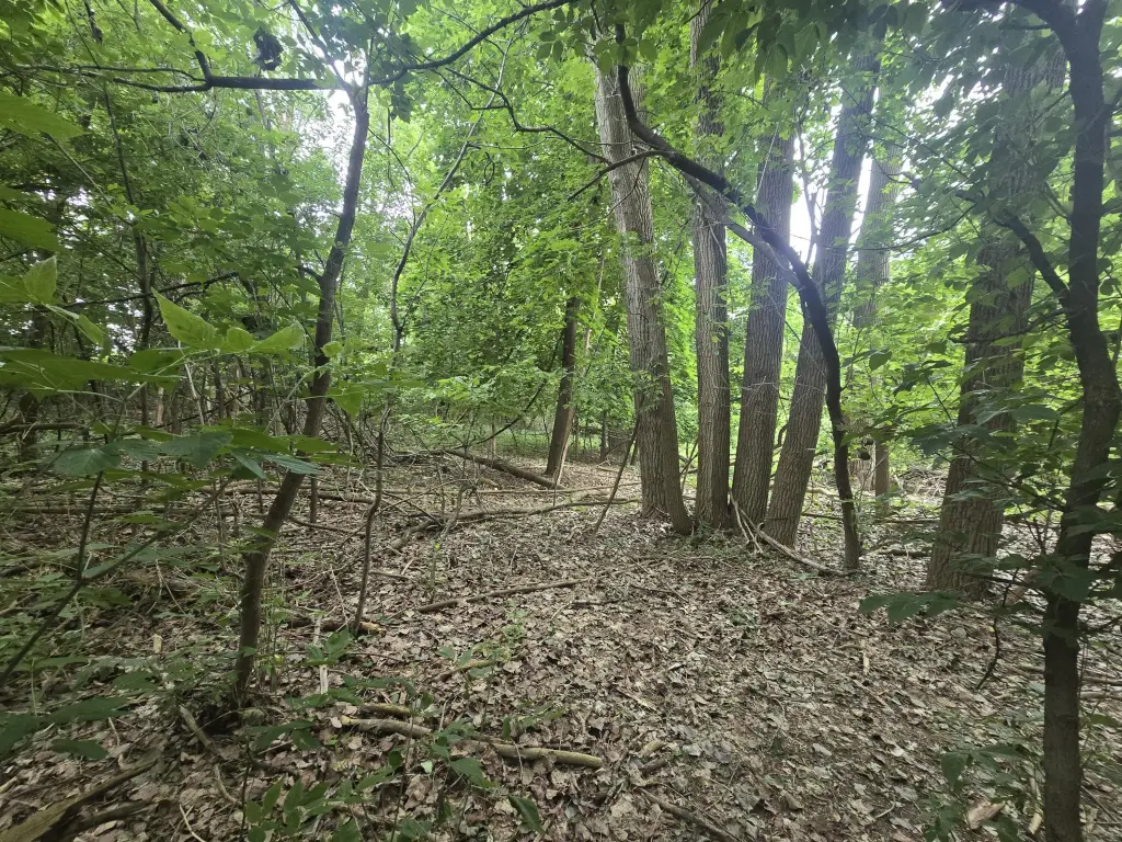 Picture 6