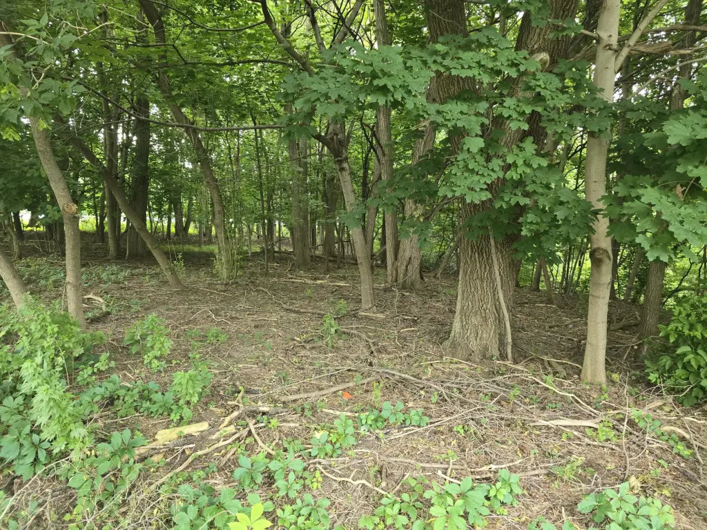 Picture 9