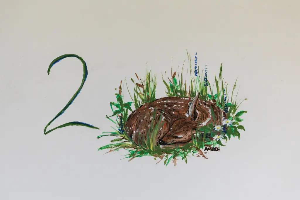 Picture 33