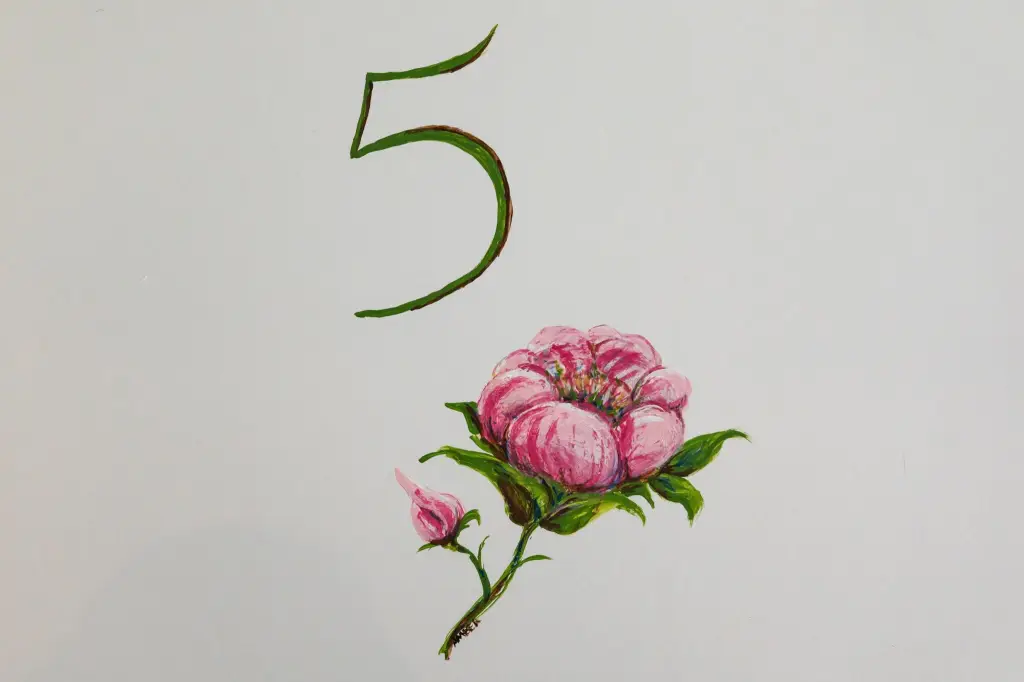 Picture 5