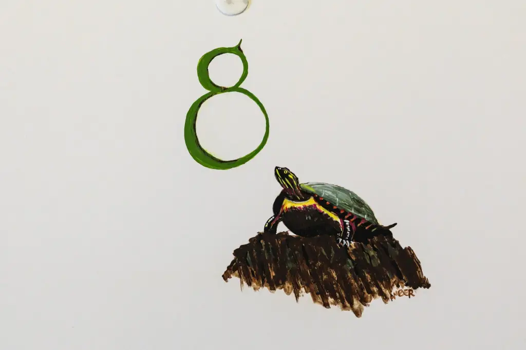 Picture 20