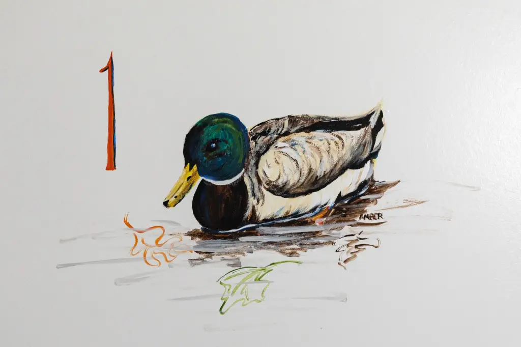 Picture 32