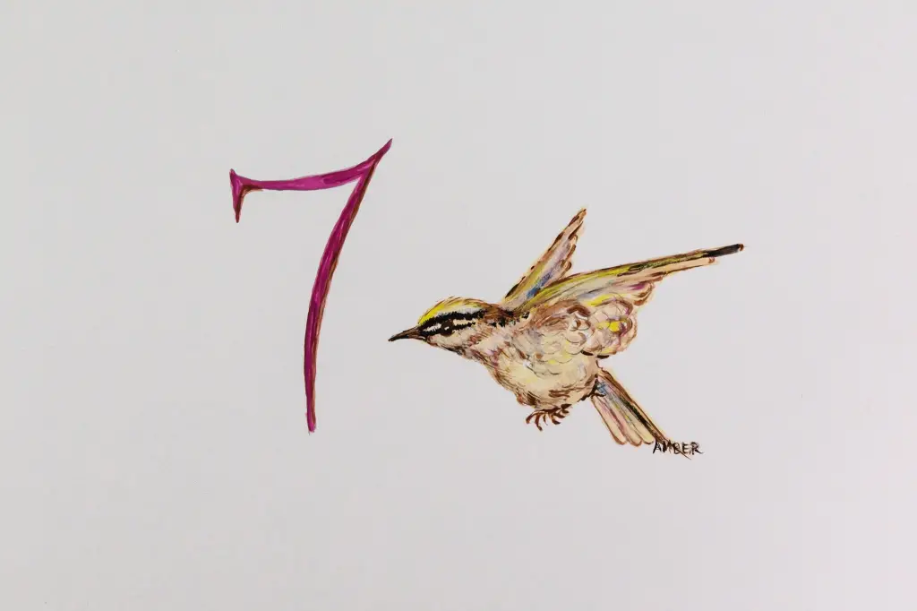Picture 15