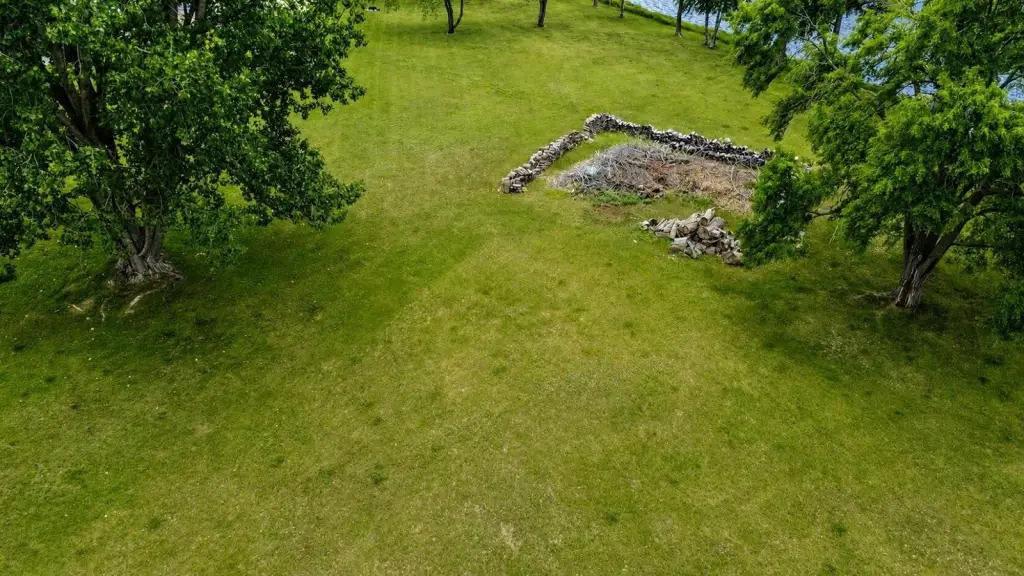 Picture 20
