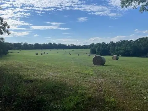 Expansive Cattle Farm Near Buffalo River