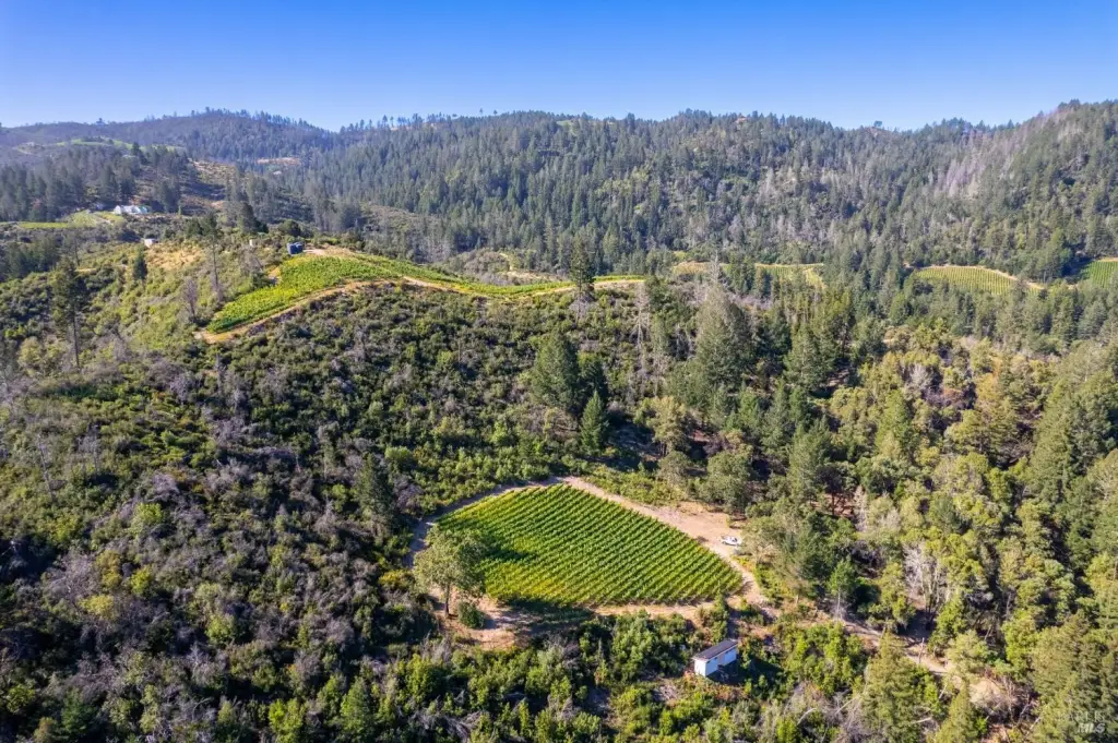 Picture 3