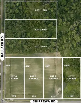 Chippewa Lake Vacant Land Parcel