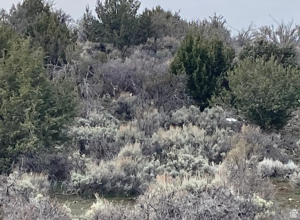 Picture 15