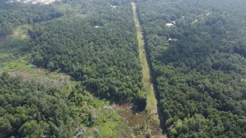 65 Acres Hunting Land Grovetown