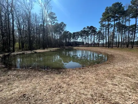 Dothan Land with Pond