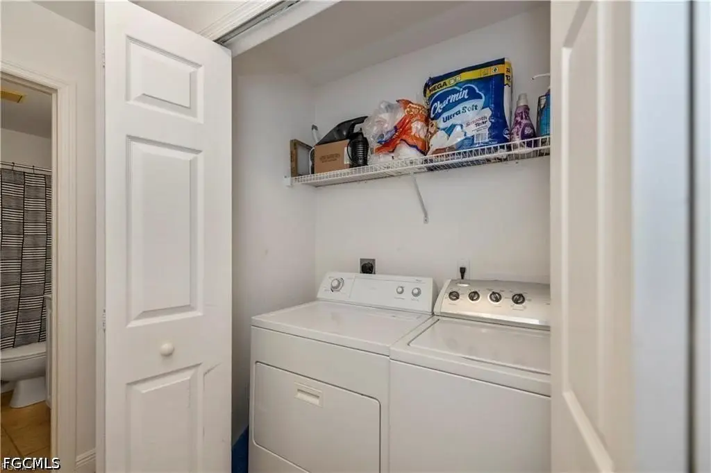 Picture 7