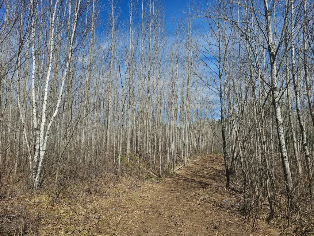 Picture 9