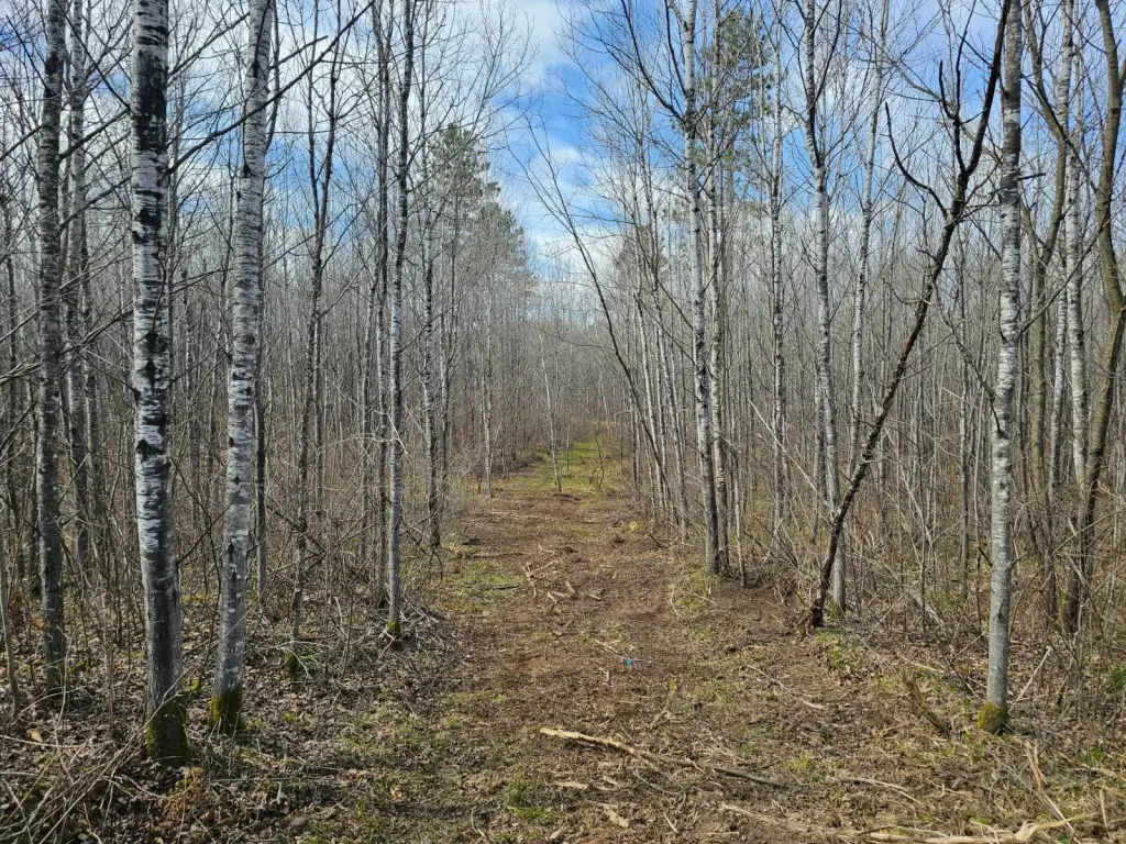 Picture 8
