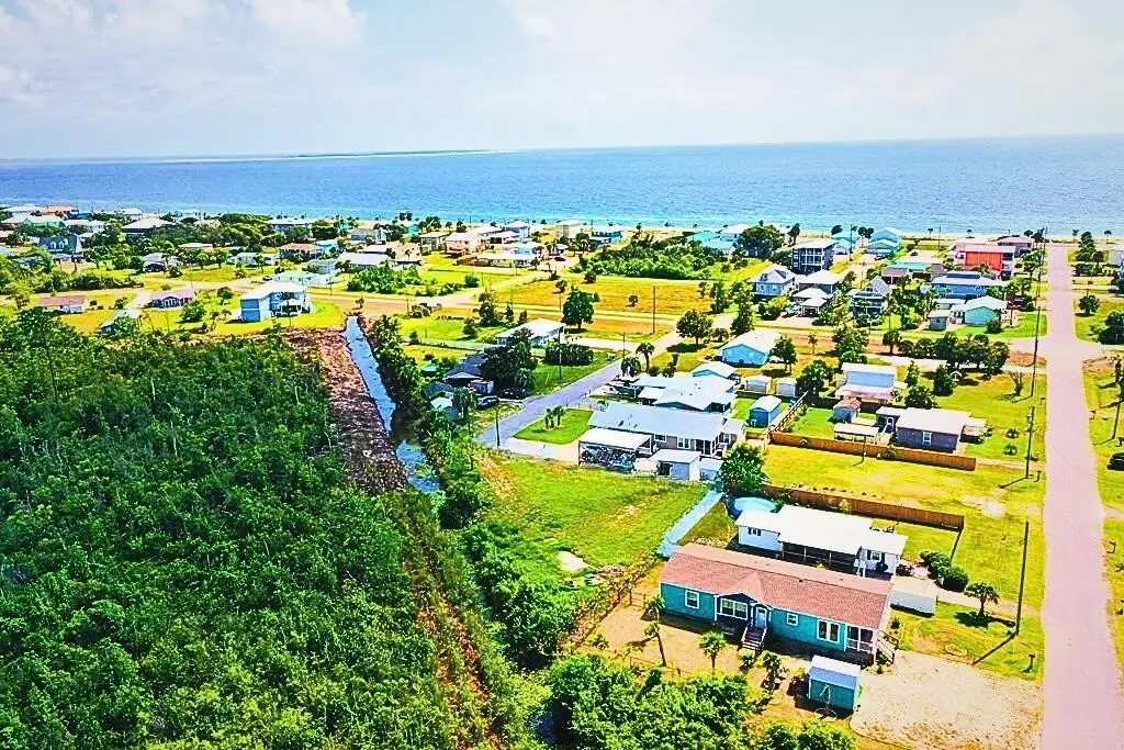 Picture 6