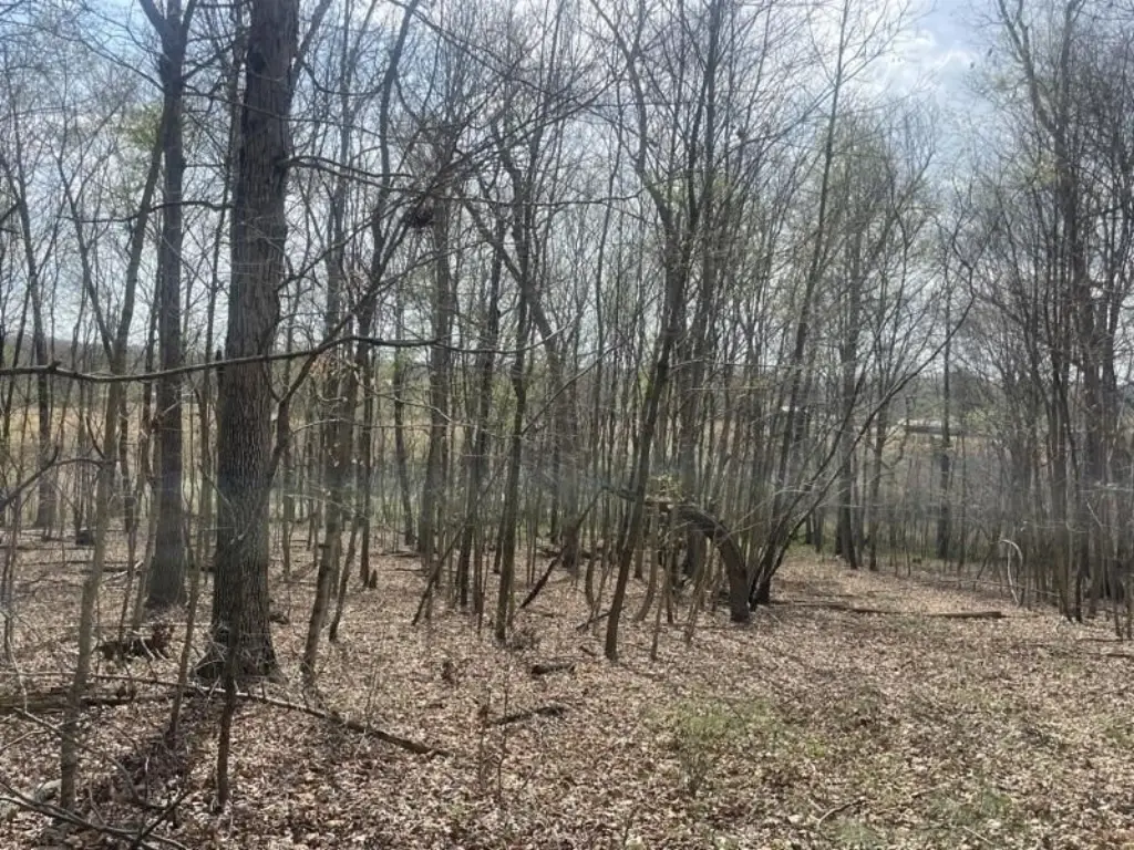 Picture 12