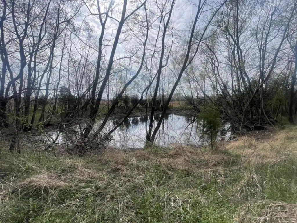 Picture 2