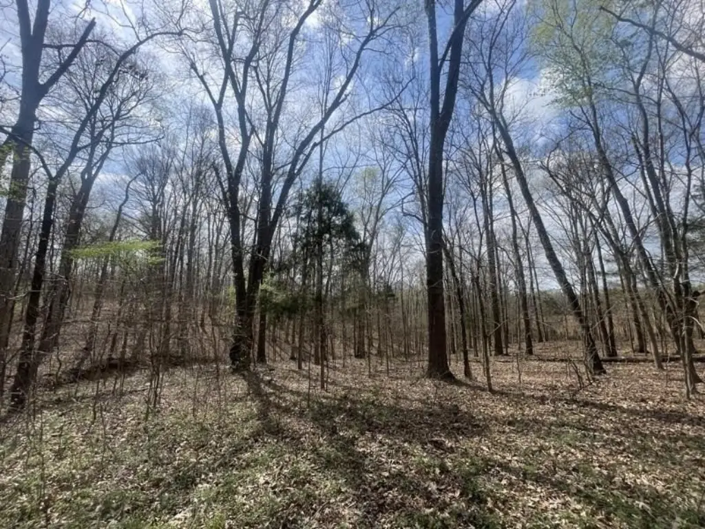 Picture 10