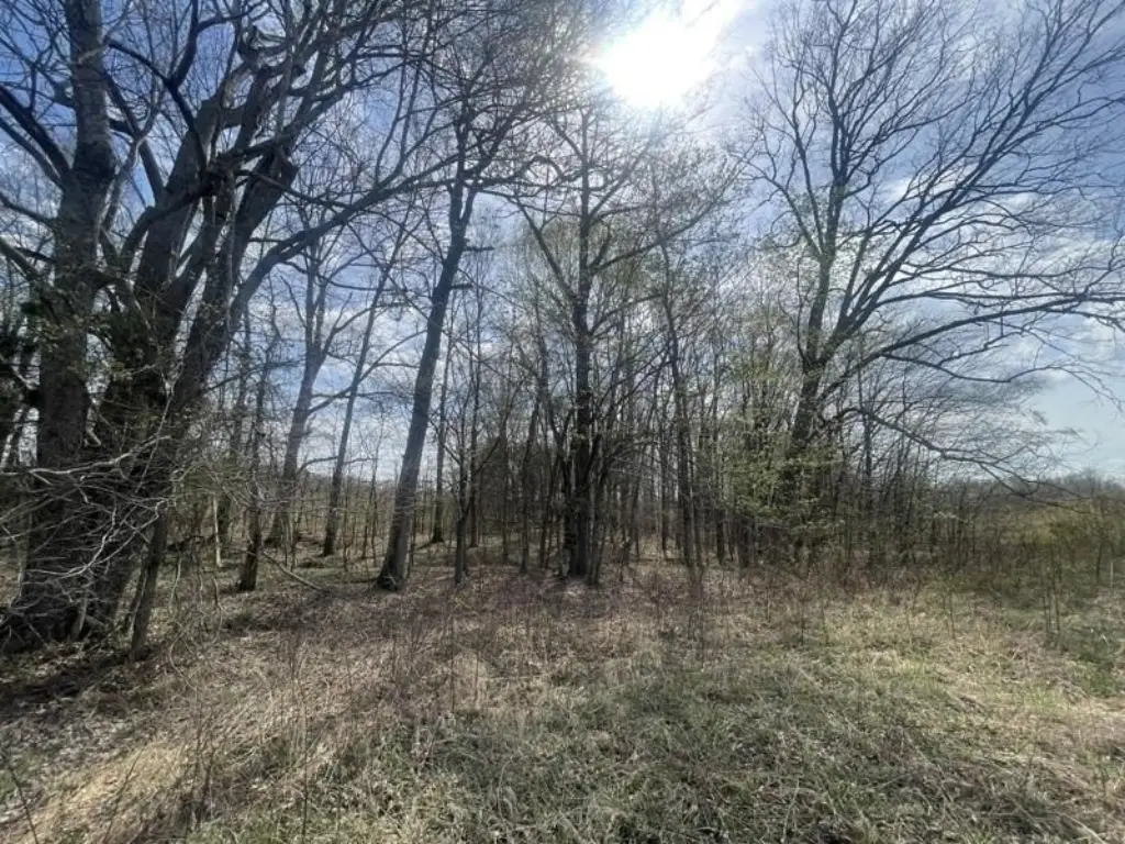 Picture 7