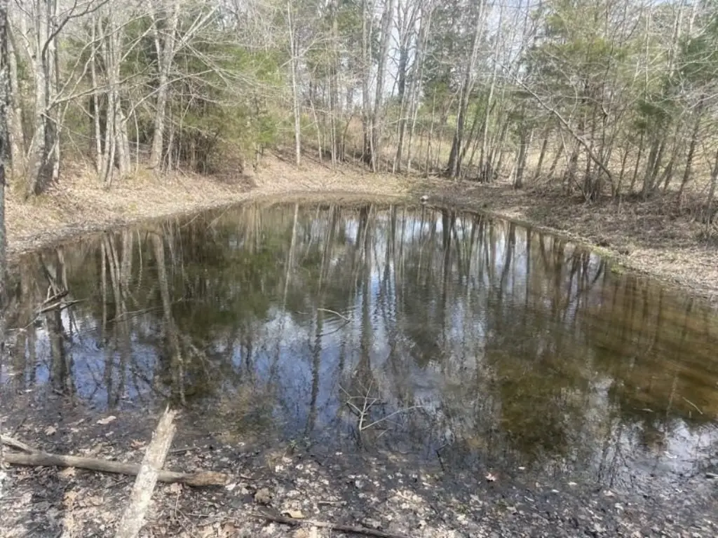 Picture 4