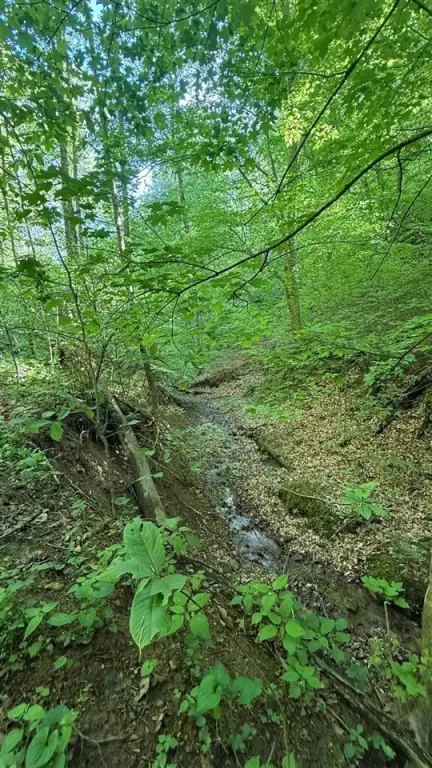 Picture 14