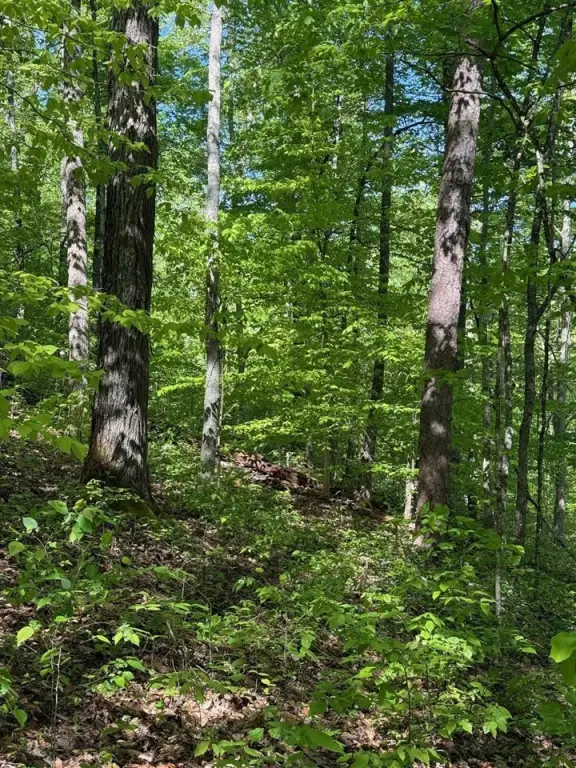 Picture 17