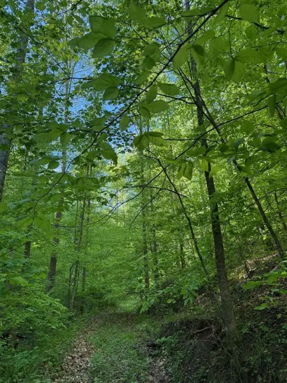 Picture 8
