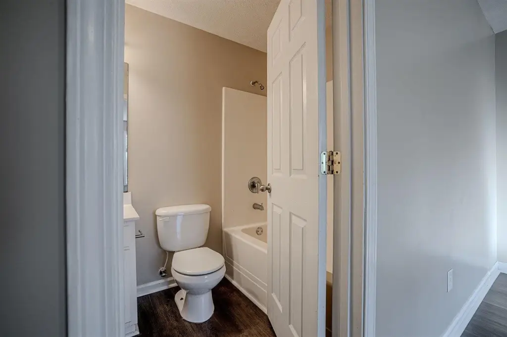 Picture 21