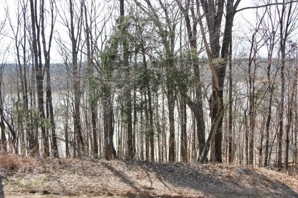 Picture 10