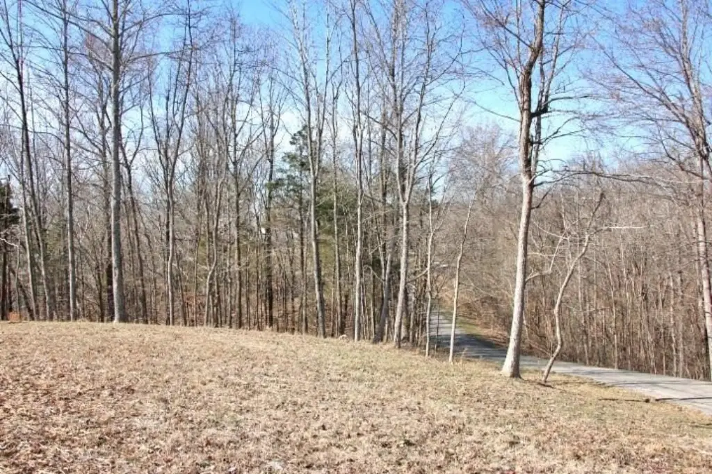 Picture 12