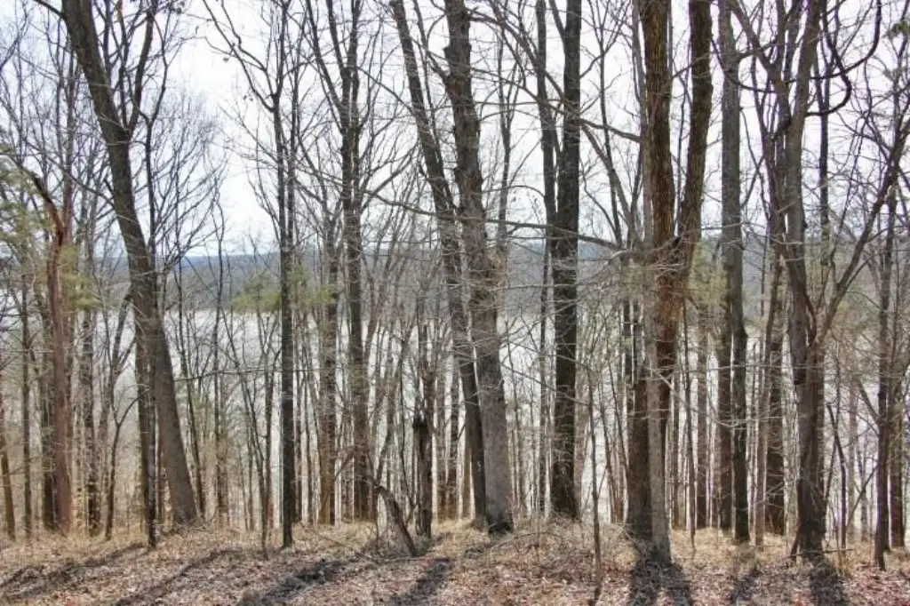 Picture 7